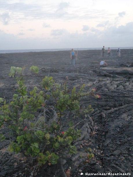 En route vers le volcan Kilauea, Big Island, Hawaii - 2010