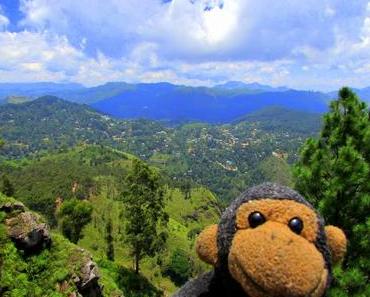 Pourquoi il faut visiter Ella au Sri Lanka (ou frôler une mort en direct)