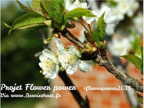 Flower Power #10