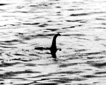 Hello Nessie!