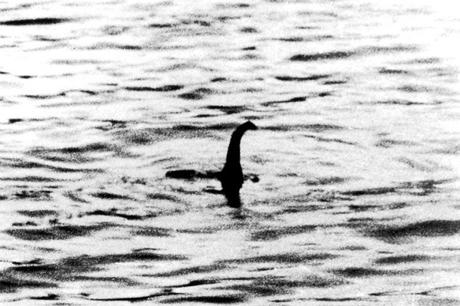 Hello Nessie!