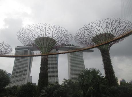 Gardens by the bay Singapour