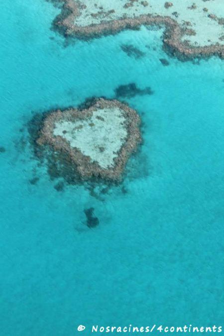Récif en forme de cœur (Heart Reef)
