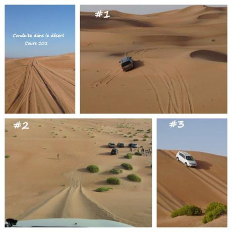 Cours 101 de conduite dans le désert
