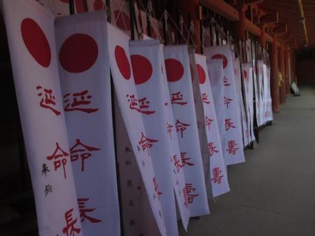 Japon : Nara et ses biches gardiennes du temple