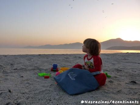 Une excursion en boutre dans la région des fjords d’Arabie Notre fils aîné, qui joue dans le sable en regardant les oiseaux