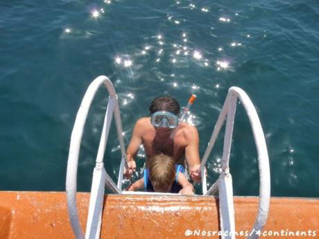Une excursion en boutre dans la région des fjords d’Arabie Un petit tour dans l'eau pour découvrir la faune marine de la région