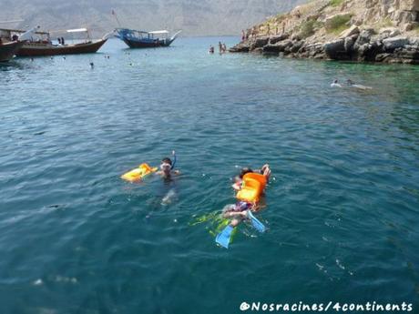 Une excursion en boutre dans la région des fjords d’Arabie Nous découvrons de nombreux poissons