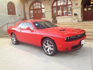 mustang rouge, à Stockyard, Texas