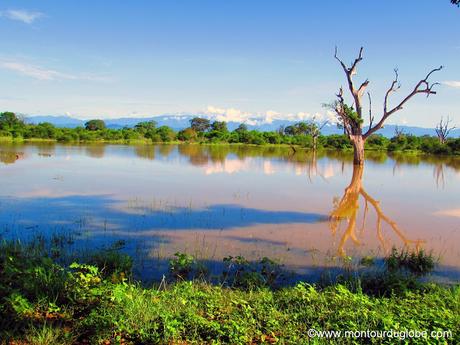 Un safari à Uda Walawe