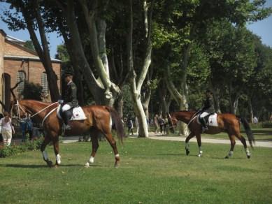 chevaux palais Topkapi Istanbul
