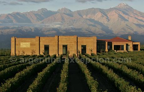 Vignes à Mendoza