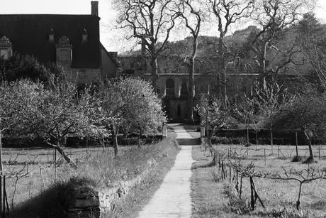 Abbaye de Beauport (Abati Boporzh - Kerity, Paimpol) 83