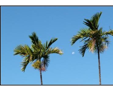 Miami Beach : Luxe et pastel les pieds dans le sable