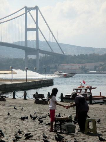 pigeons port de Ortaköy Istanbul