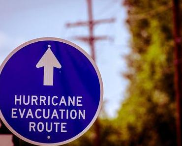 Les z’haricots sont pas salés