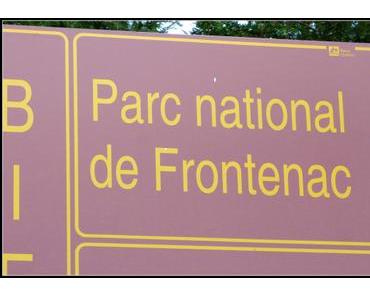 Parc Frontenac : Tourbière aux airs d’Everglades