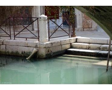 ♥♥♥ Il giorno di VenetiaMicio  ♥♥♥