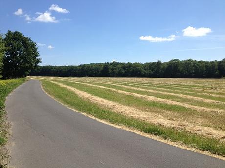 Tour du mur de Berlin – Jour 3