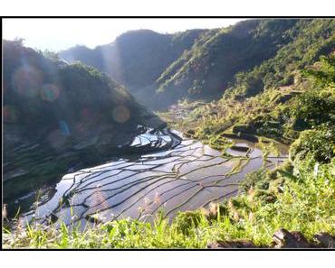 Batad : Le spectacle des rizières en amphitéâtre