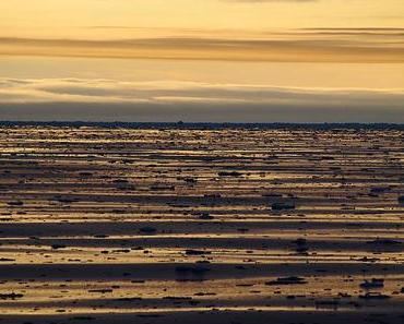 Arctique : tentative de record du passage du nord-est à la voile