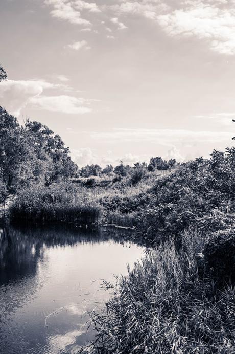 Canal Lachine