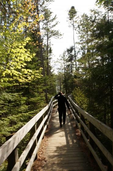 Roadtrip #1 : Tadoussac du 4 au 6 Juin 2015