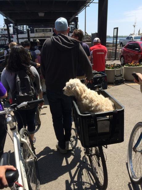 Toronto Island le 17 Mai 2015