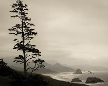 La côte de l'Oregon