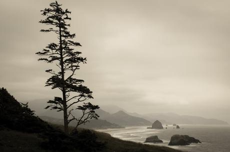 La côte de l'Oregon