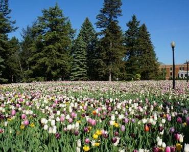 Jardin botanique – 29 Mai et 16 Août 2015