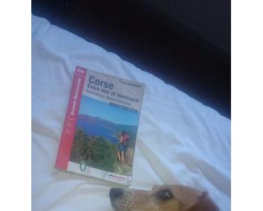 Rando en Corse : Mare e Monti sud