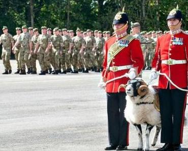 At her Majesty’s service