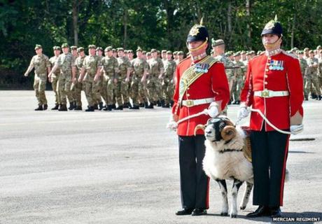 At her Majesty’s service