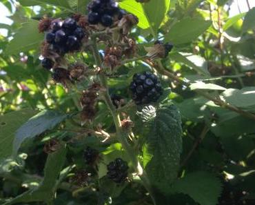 Ten on ten : September