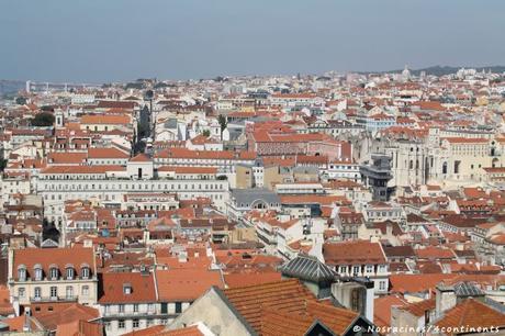 La vue sur les toits rouges de Lisbonne, du Castelo San Jorge