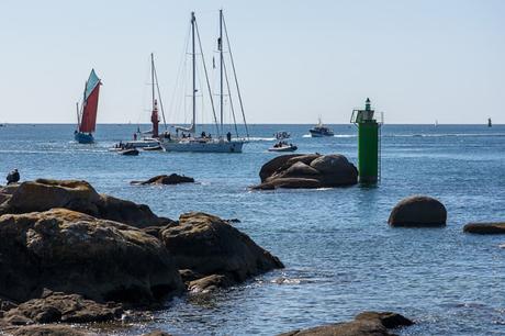 Concarneau : retour de Why après 18 mois au Groenland Ouest (8 photos)