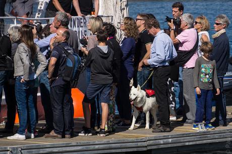 Concarneau : retour de Why après 18 mois au Groenland Ouest (8 photos)