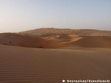 Le désert de l'Empty Quarter, Liwa