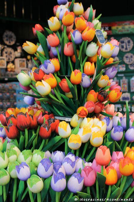 La tulipe, véritable symbole des Pays-Bas