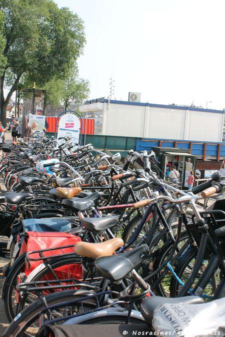Des vélos à profusion... Trouver un endroit où se garer relève du défi permanent!