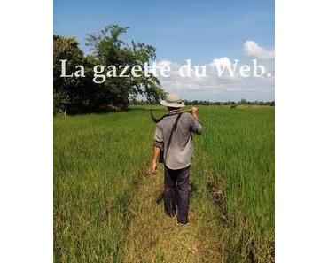 La gazette du Web en vrac (14). Mousson : clap de fin ?