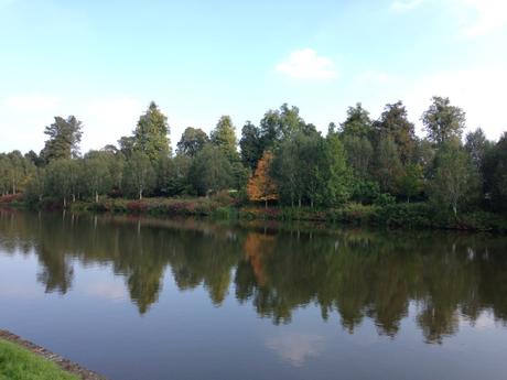 Autumn walk