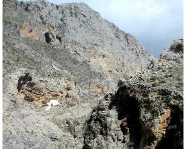 Road trip en Crète ( partie 2)