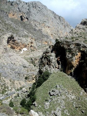 Gorges de Kourtaliotiko Crète