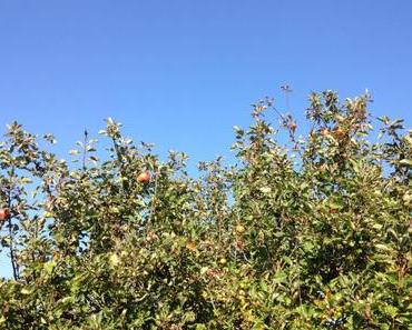 Ten on ten : October