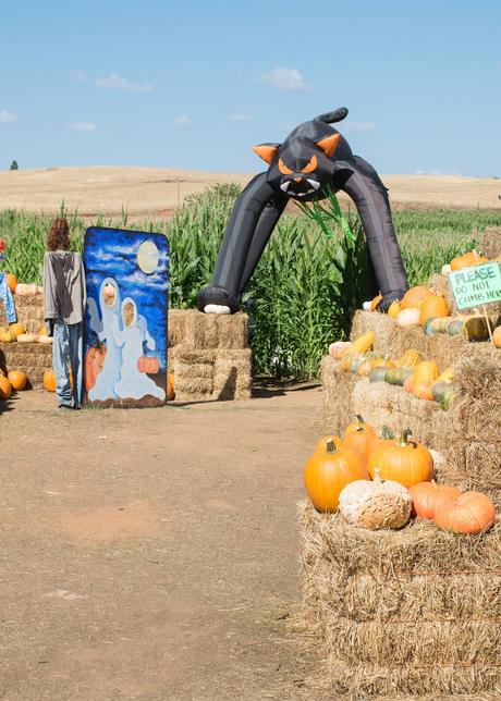 Des citrouilles et des avions !