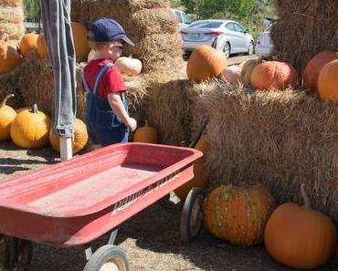 Des citrouilles et des avions !