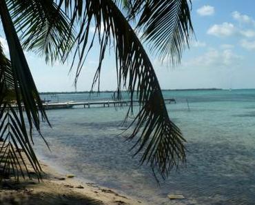 Caye Caulker : La perle cachée au large du Belize