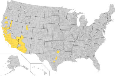 In-N-Out, un fast-food typiquement (pas) US !